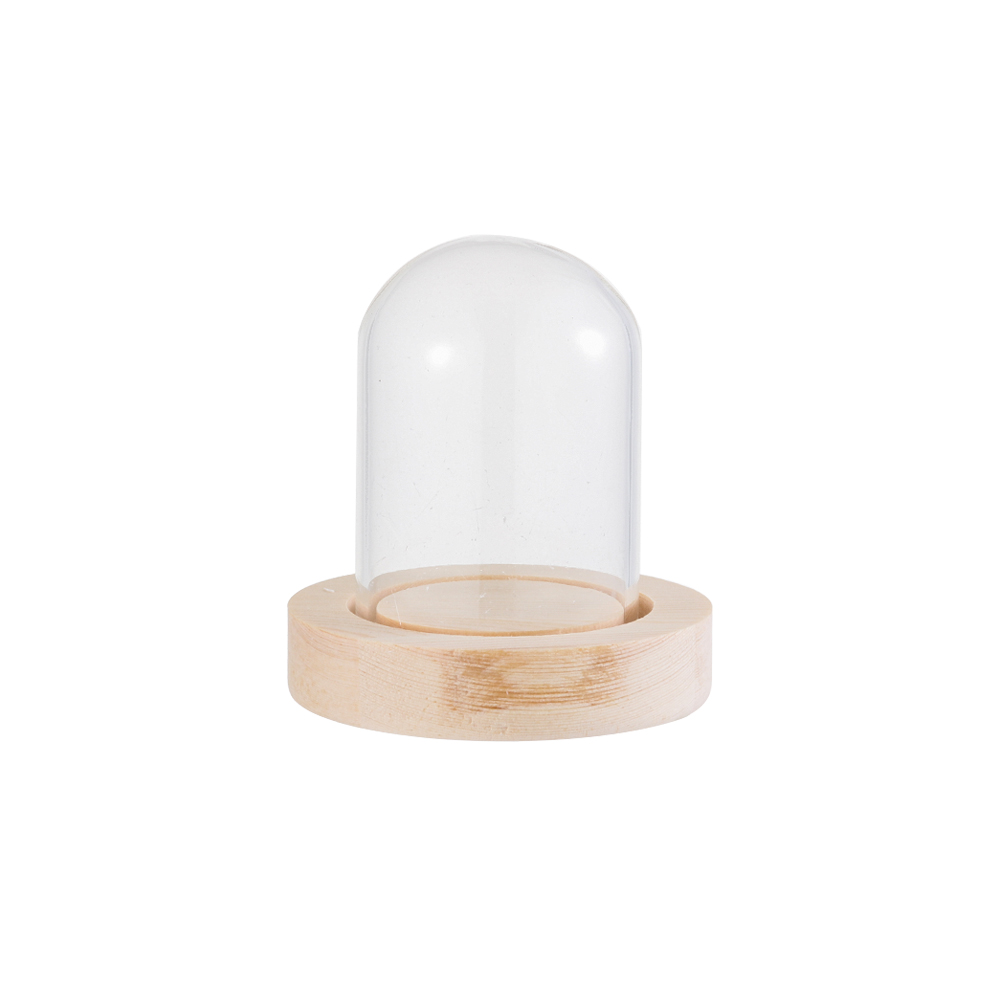 Fairy Lights Home Decor Terrar - Vase Decor review and price
